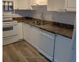 Kitchen - 29 Stevenson Avenue, Ottawa, ON K1Z6M9 Photo 6