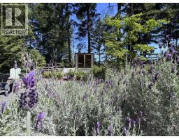 Workshop - 261 Mobrae Ave, Salt Spring, BC V8K1J7 Photo 9
