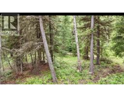 Lot A Big Lake Road, Williams Lake, BC V0L1G0 Photo 6