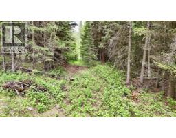 Lot A Big Lake Road, Williams Lake, BC V0L1G0 Photo 9