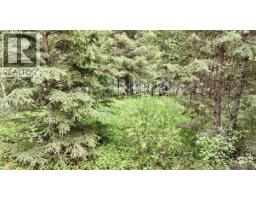 Lot A Big Lake Road, Williams Lake, BC V0L1G0 Photo 7