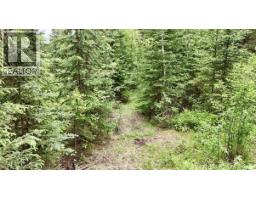 Lot A Big Lake Road, Williams Lake, BC V0L1G0 Photo 8