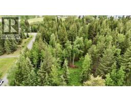 Lot A Big Lake Road, Williams Lake, BC V0L1G0 Photo 11