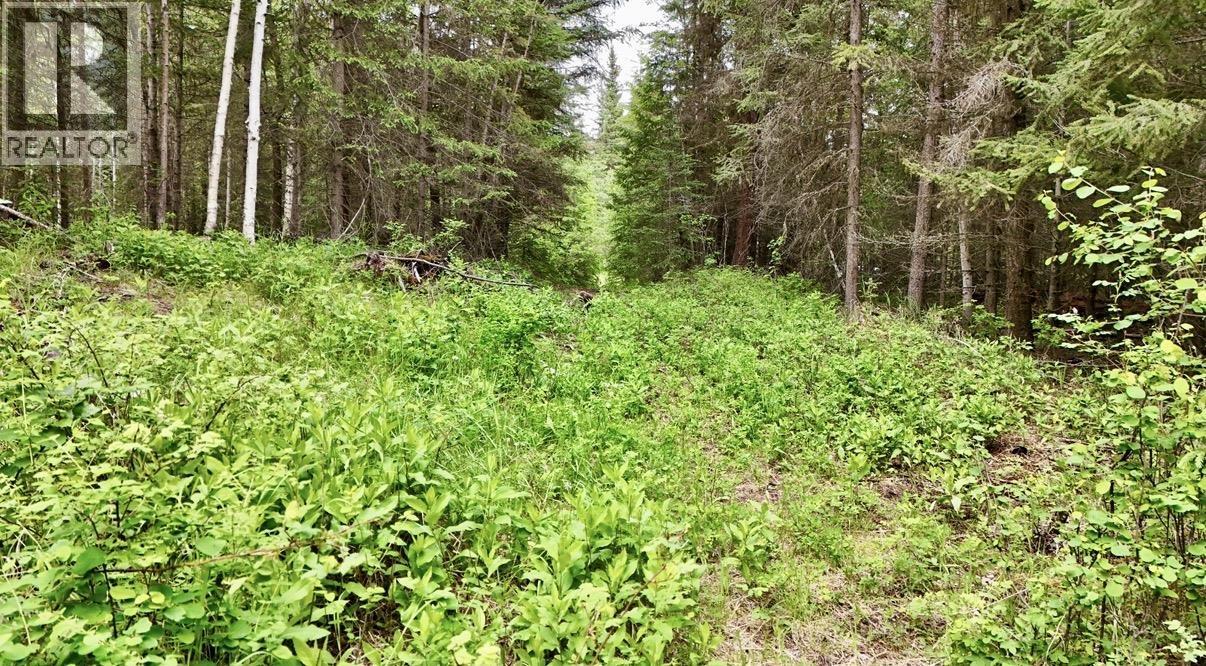 LOT A BIG LAKE ROAD, Williams Lake