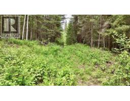 Lot A Big Lake Road, Williams Lake, BC V0L1G0 Photo 22