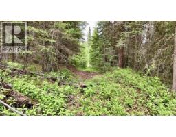Lot A Big Lake Road, Williams Lake, BC V0L1G0 Photo 21