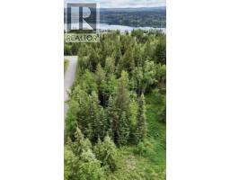 Lot A Big Lake Road, Williams Lake, BC V0L1G0 Photo 12