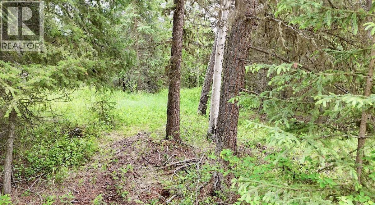 LOT A BIG LAKE ROAD, Williams Lake