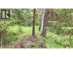 Lot A Big Lake Road, Williams Lake, BC V0L1G0 Photo 10