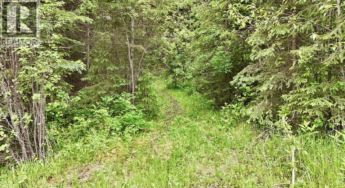 LOT A BIG LAKE ROAD, Williams Lake