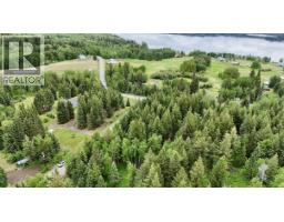 Lot A Big Lake Road, Williams Lake, BC V0L1G0 Photo 18