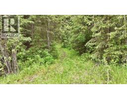 Lot A Big Lake Road, Williams Lake, BC V0L1G0 Photo 19