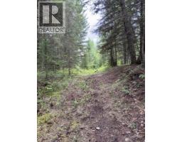 Lot A Big Lake Road, Williams Lake, BC V0L1G0 Photo 17