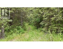 Lot A Big Lake Road, Williams Lake, BC V0L1G0 Photo 20