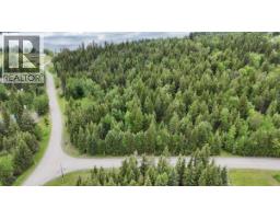 Lot A Big Lake Road, Williams Lake, BC V0L1G0 Photo 14