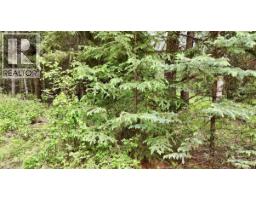 Lot A Big Lake Road, Williams Lake, BC V0L1G0 Photo 23
