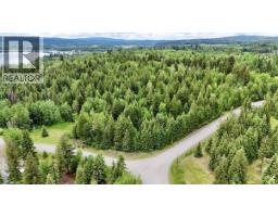 Lot A Big Lake Road, Williams Lake, BC V0L1G0 Photo 13
