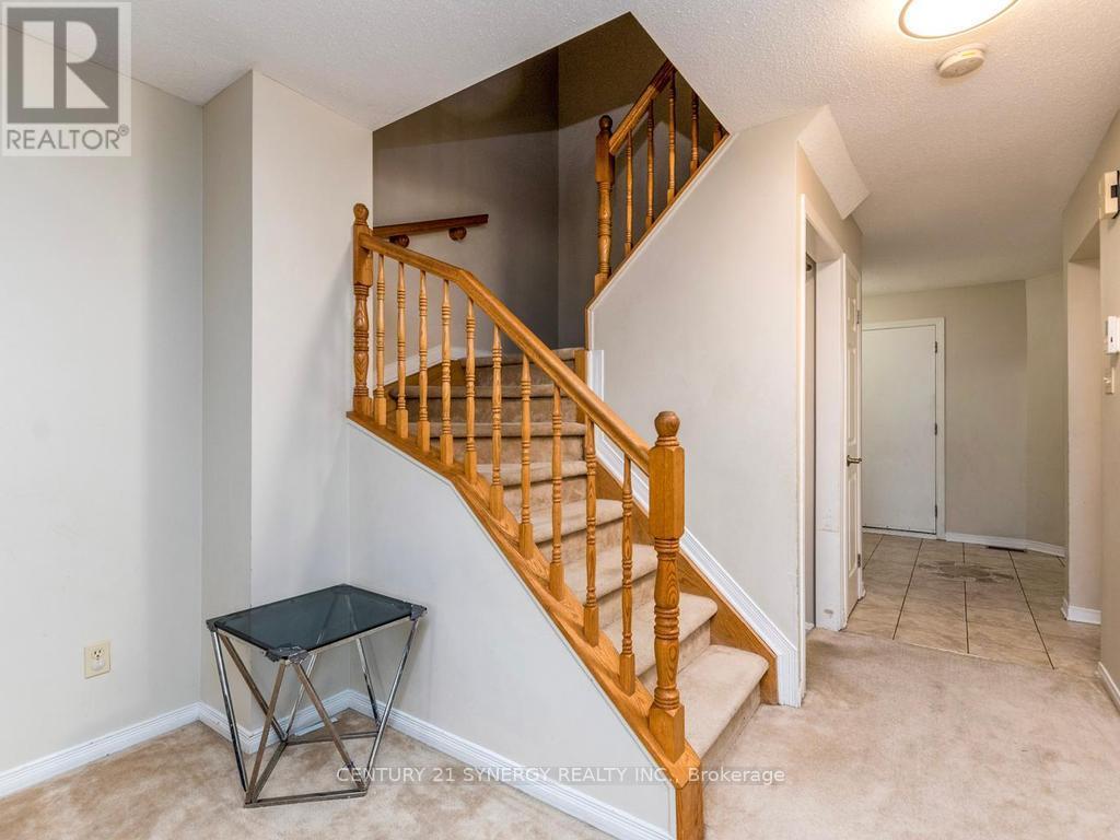 1 WINNEGREEN COURT - 19
