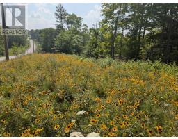 19 Shady Maple Road, Mcnab/braeside, ON K0J1G0 Photo 14