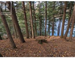 19 Shady Maple Road, Mcnab/braeside, ON K0J1G0 Photo 16