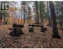 19 Shady Maple Road, Mcnab/braeside, ON K0J1G0 Photo 17