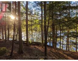 19 Shady Maple Road, Mcnab/braeside, ON K0J1G0 Photo 20