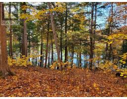 19 Shady Maple Road, Mcnab/braeside, ON K0J1G0 Photo 21