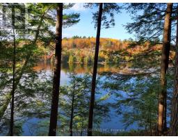 19 Shady Maple Road, Mcnab/braeside, ON K0J1G0 Photo 6