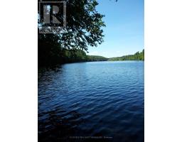 19 Shady Maple Road, Mcnab/braeside, ON K0J1G0 Photo 7