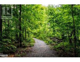 5 - 3421 Grandview Forest Hill Drive, Huntsville, ON P1H2J5 Photo 36