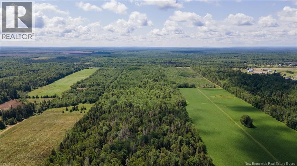 889 Route 133 Road - Image 38