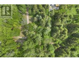 1021 Spencer's Trail, Highlands East, ON K0M2A1 Photo 42