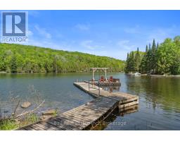 1021 Spencer's Trail, Highlands East, ON K0M2A1 Photo 30