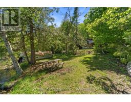 Sunroom - 1021 Spencer's Trail, Highlands East, ON K0M2A1 Photo 7
