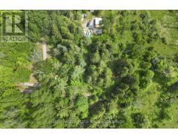 1021 Spencer's Trail, Highlands East, ON K0M2A1 Photo 35