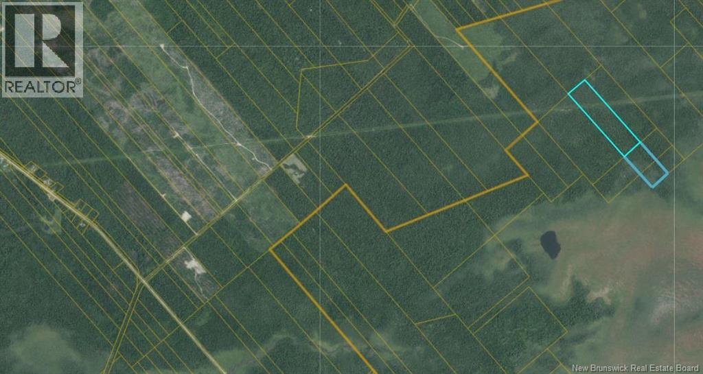 31 acres off Dunphy Road, Miramichi — photo 2