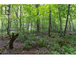 529648 Osprey-the Blue Mountains Townline, Grey Highlands, ON L0M1P0 Photo 33