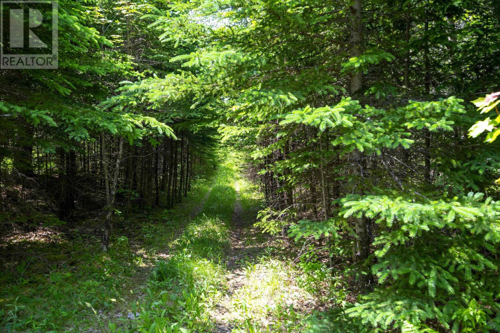 Property 10 of 12 of Lot West Dalhousie Road