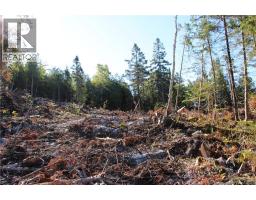 Lot C-9/10 Shoreline Drive, photo 7