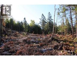 Lot C-9/10 Shoreline Drive, photo 8