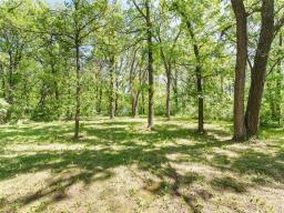377 Main Street, Oakbank, MB R5N0N9 Photo 39