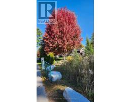 1 White Pines Trail, Wasaga Beach, ON L9Z1X7 Photo 23