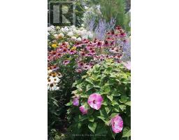 1 White Pines Trail, Wasaga Beach, ON L9Z1X7 Photo 25
