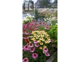 1 White Pines Trail, Wasaga Beach, ON L9Z1X7 Photo 27