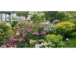 1 White Pines Trail, Wasaga Beach, ON L9Z1X7 Photo 29