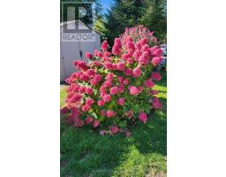 1 White Pines Trail, Wasaga Beach, ON L9Z1X7 Photo 36
