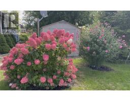 1 White Pines Trail, Wasaga Beach, ON L9Z1X7 Photo 38