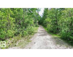 4 Kaylee Crescent White Sands, Rural Stettler County, AB T0C3B0 Photo 9