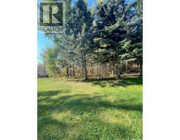 4.11 Acres Wizewood Road, Hudson Bay Rm No  394, SK S0E0Y0 Photo 45
