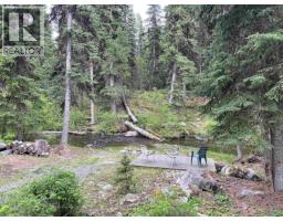 7464 Burgess Road, Deka Lake / Sulphurous / Hathaway Lakes, BC V0K1X3 Photo 38